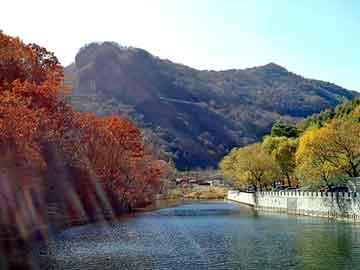 新澳天天开奖资料大全旅游团，站群服务器